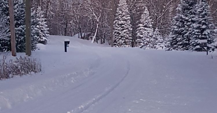 snowe-Edited.jpg