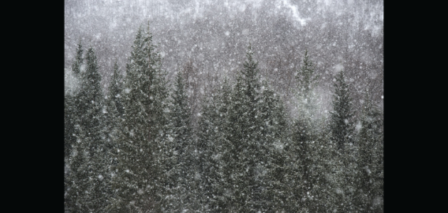 Doppler daily weather report