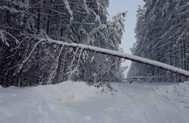Snow clearing on Britannia and Yearly roads taking place today: District
