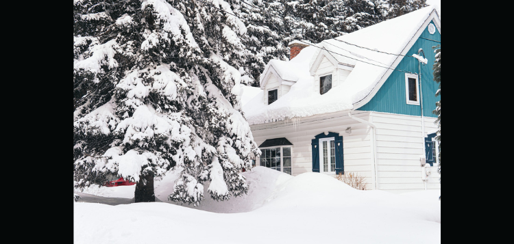 snow-20.png