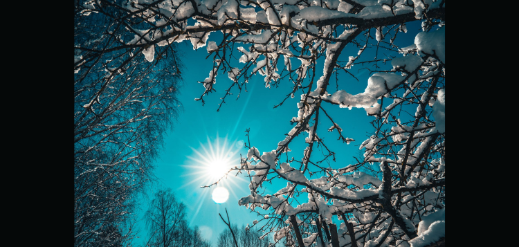 snow-9.png