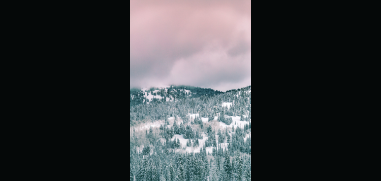 medora-1.png