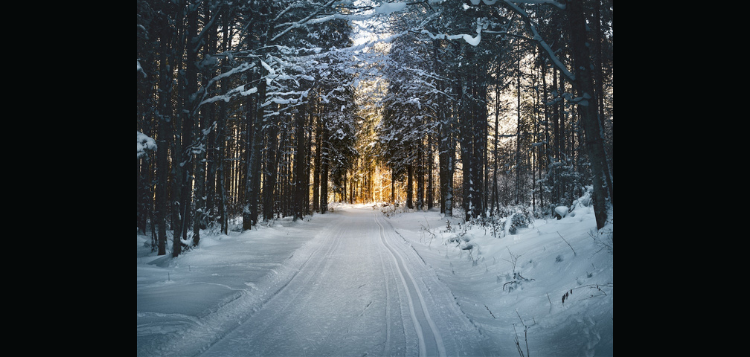 snow-27.png