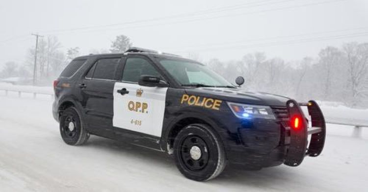 pMzVBxd6-OPP-SUV.jpg