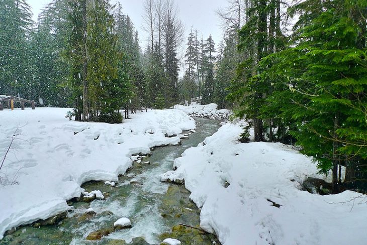 rain-on-snow_standard-EDITED.jpg