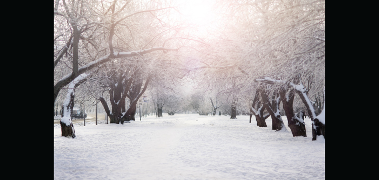 snow-26.png