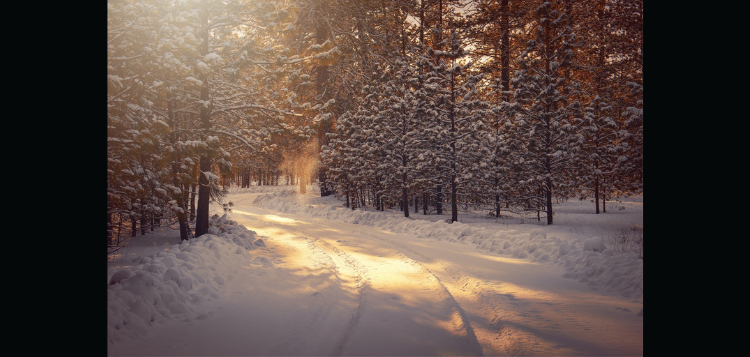 winter.png