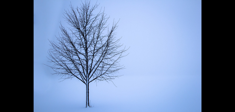 winter-12.png