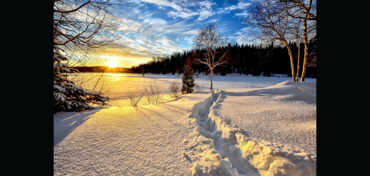 winter-3.png