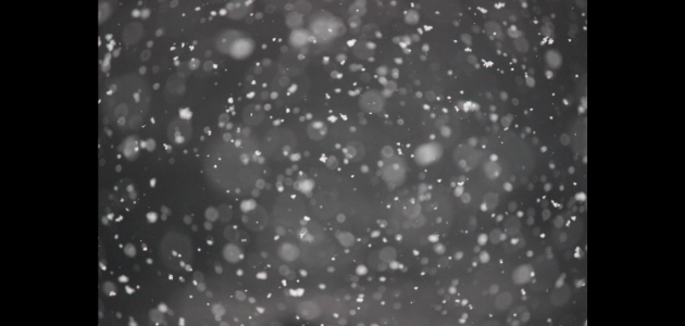 Doppler daily weather report