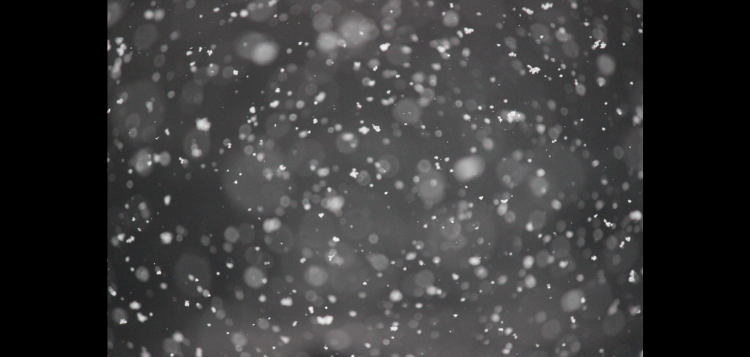 winter-9.png