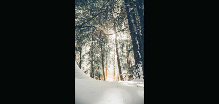 winter.png