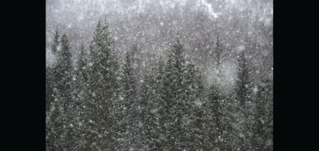 Doppler daily weather report