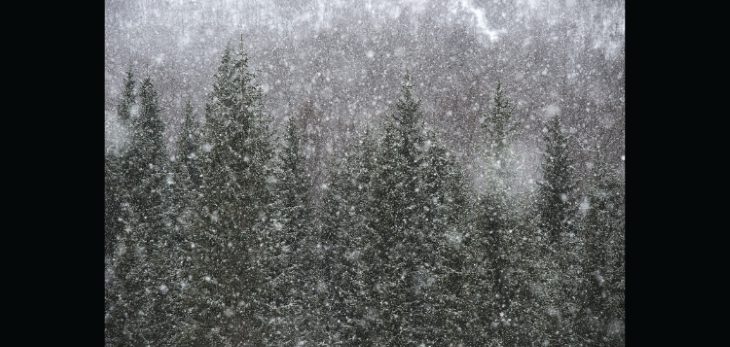 snow-16-edited.png