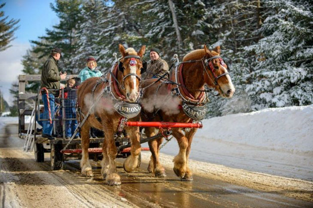 Winter festivities including the return of the Dwight Winter Carnival on February 24 and 25