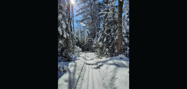 Weekend weather report
