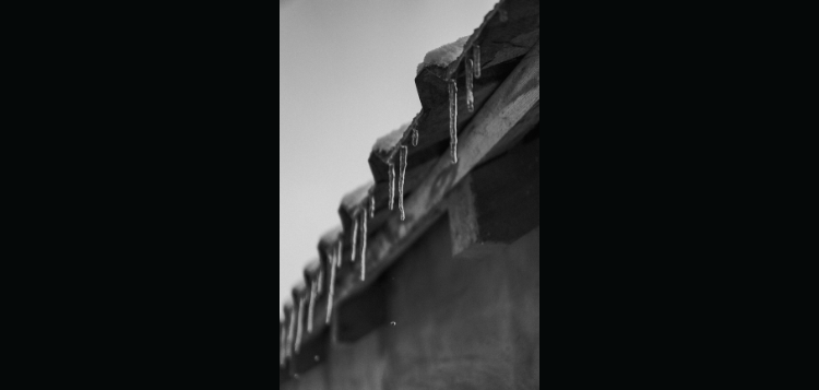 spring.png
