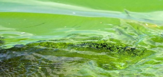 District to hold public meeting regarding update to vulnerable lakes