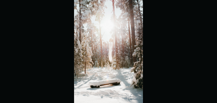 winter.png