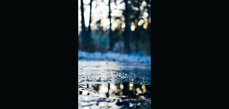 winter-25.png