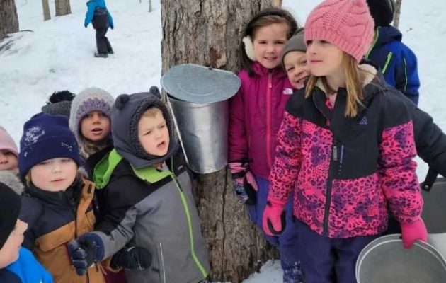 VK Greer students learn about the art of making maple syrup