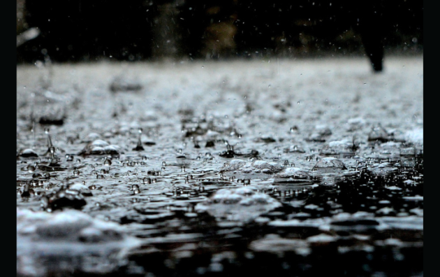 Doppler daily weather report