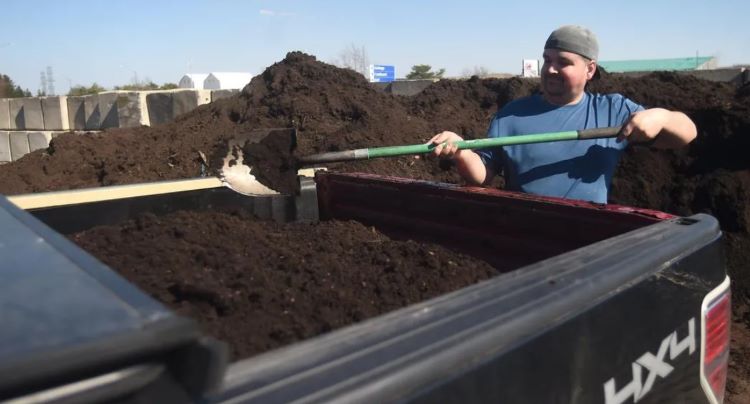 Compost-edited.jpg