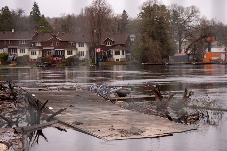 What-the-river-pushed-in.jpg