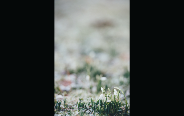 dYYBJvn0-spring.png
