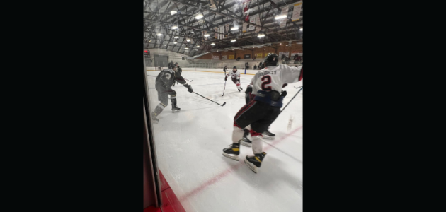 South Muskoka Shield banned from GMHL