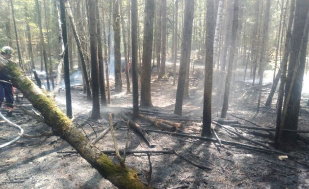 Fire crews spent four hours fighting brushfire caused by improperly extinguished campfire in Kearney