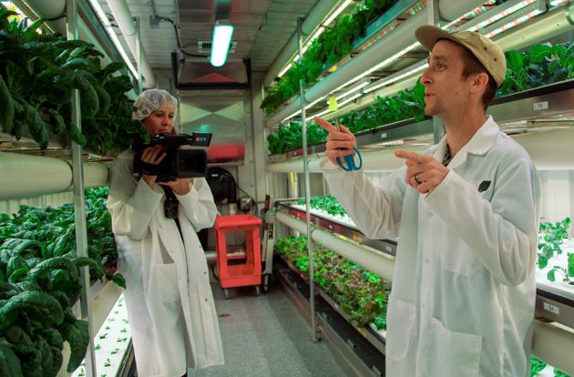 Food Co-op reveals modular hydroponic farm