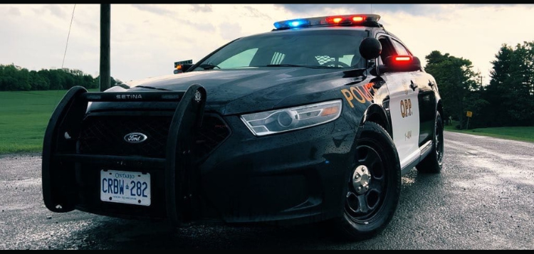 opp.png