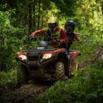 Using your head on the trails starts with a helmet