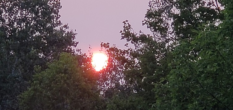 Air-quality-statement.jpg