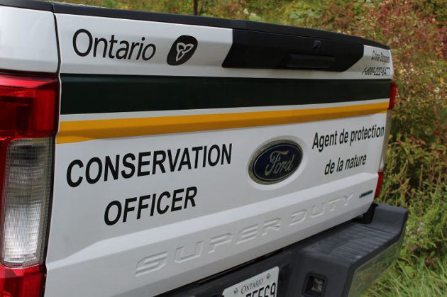 Individual fined for illegal fishing in Algonquin Provincial Park