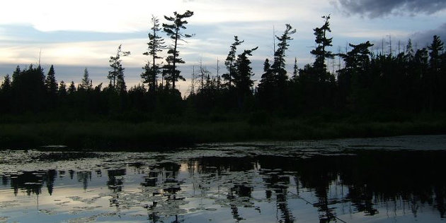 Municipal staff moving forward with formal consultation to ban gas-powered motorboats on Clark Lake