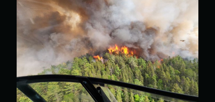 fosres-fire-ED.png