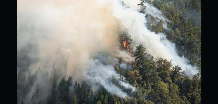 Ontario-Forest-Fires.png