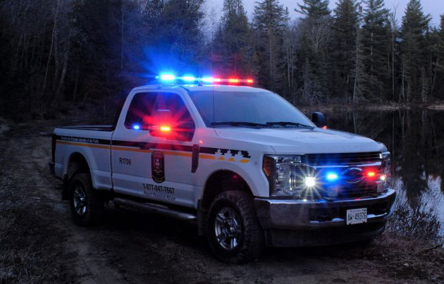 Man pleads guilty to unlawfully hunting black bears at night
