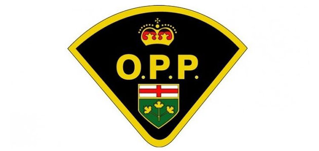 Traffic fatalities and close to 8,000 charges laid over long weekend
