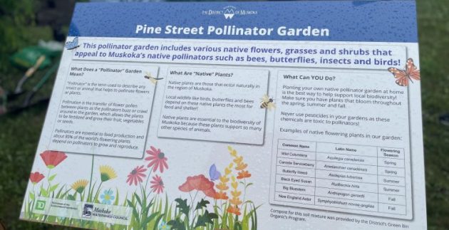 District of Muskoka partnership creates pollinator garden