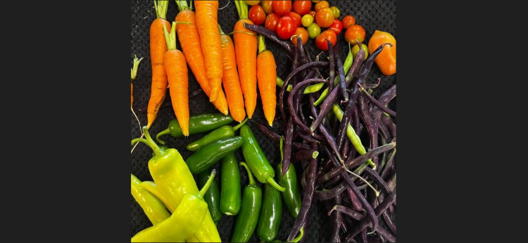 veggies-Ed.png