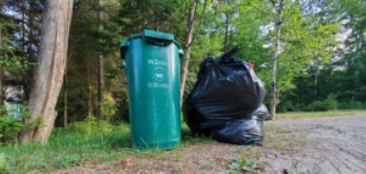 Garbage-and-green-bin-Doppler-file-photo-300×143.jpg