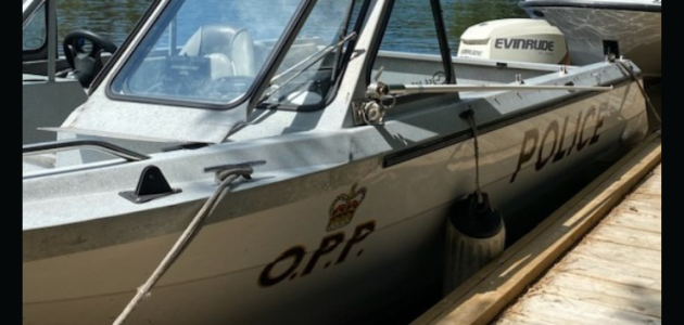 Huntsville man pleads guilty in fatal boating accident