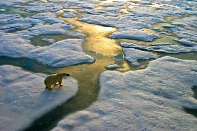 Listen Up! How can Canada best contribute to the battle against climate change?: A guest post by Hugh Holland | Commentary