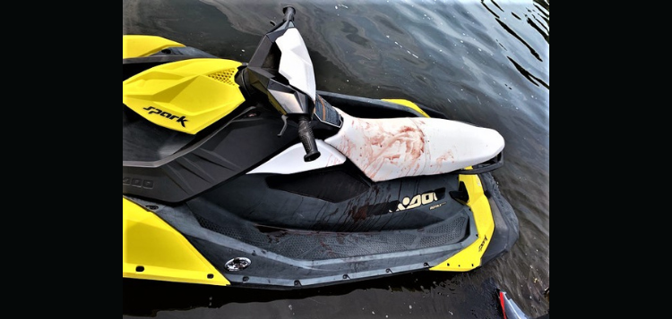 skidoo-OPP.png