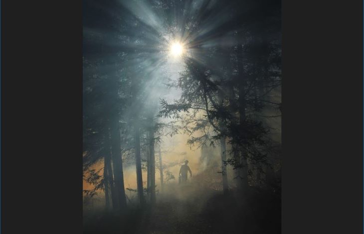 woods.jpg