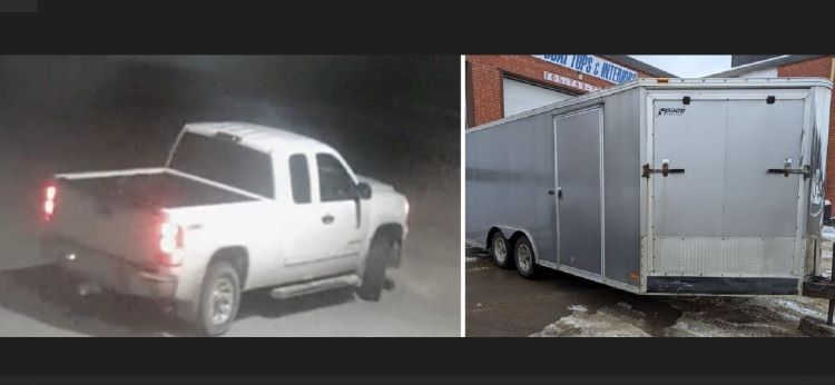 THEFT.jpg
