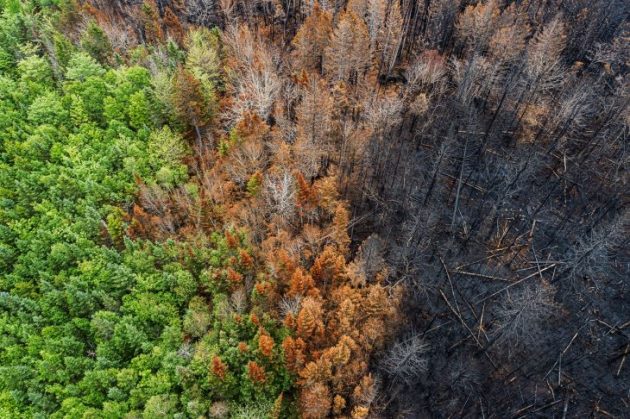 Our changing climate and Ontario’s response